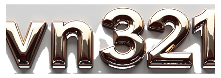 vn321 logo